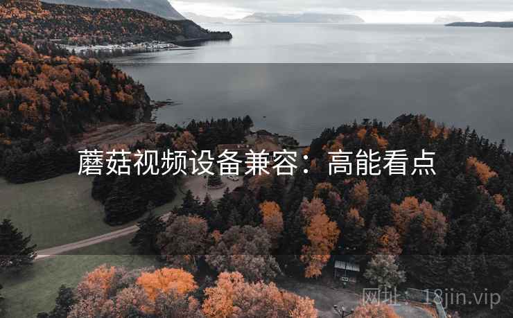 蘑菇视频设备兼容：高能看点