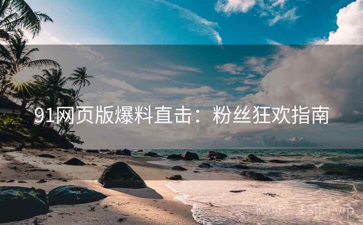 91网页版爆料直击：粉丝狂欢指南