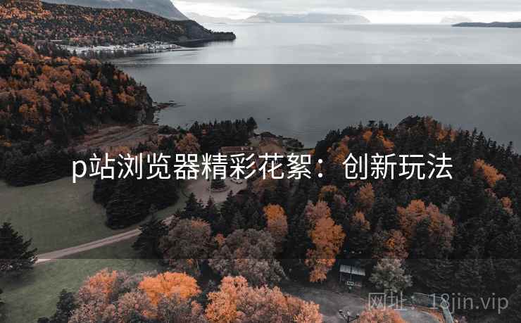 p站浏览器精彩花絮：创新玩法