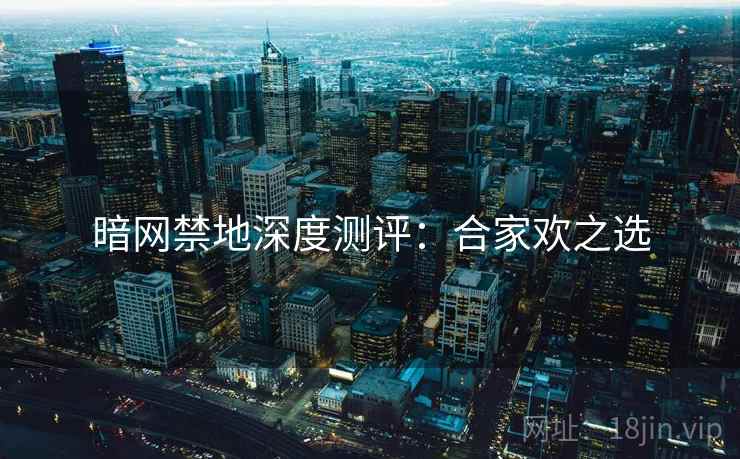 暗网禁地深度测评：合家欢之选