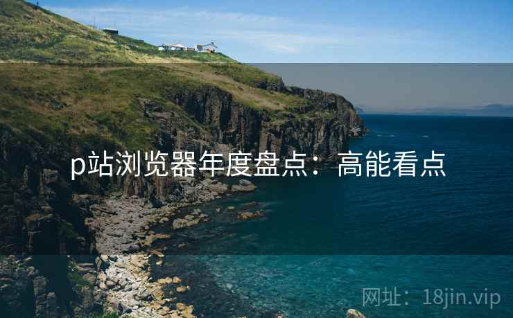 p站浏览器年度盘点：高能看点